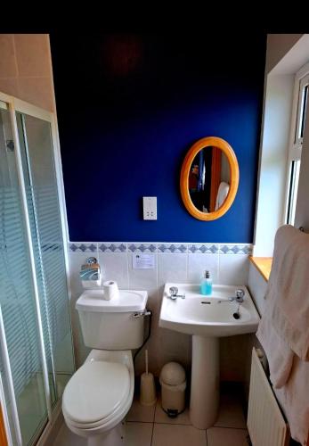a bathroom with a white toilet and a sink at Lake Avenue House in Ballyconnell
