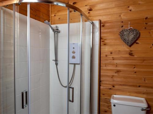 a bathroom with a shower with a toilet in it at 3 Bed in Hereford oc-bn141 in Clyro