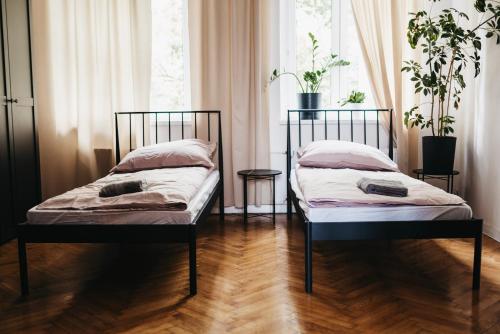 a room with two beds and a window with plants at Apartamenty Boutique 9 Sosnowiec in Sosnowiec