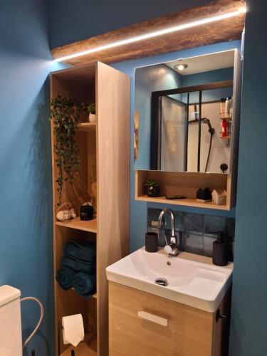 a bathroom with a sink and a mirror at Cottage en Saule in Port-Launay