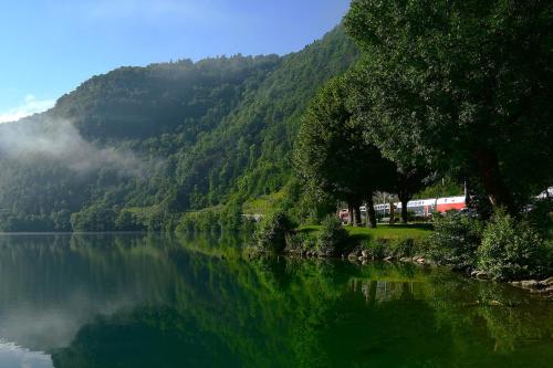 a train traveling along a river with a mountain at Camping Le SIGNAL Nantua in Nantua