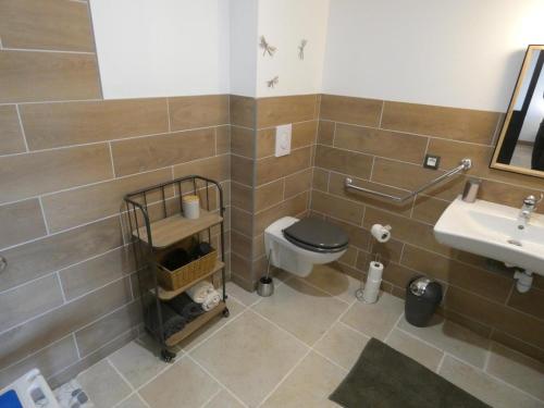 un bagno con WC e lavandino di Le Nichoir a Lion-en-Sullias