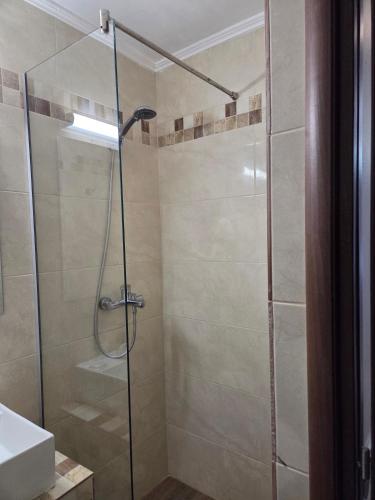 a shower with a glass door in a bathroom at Pensiunea La Iani in Constanţa
