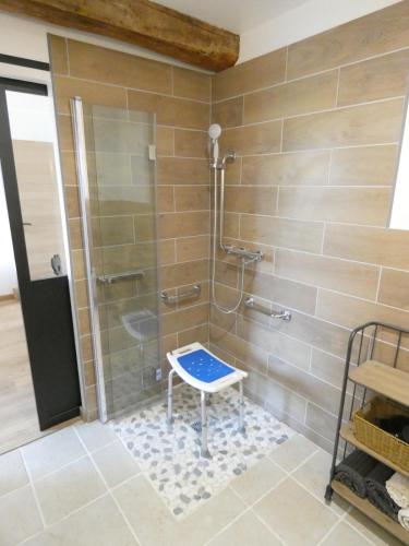 un bagno con una doccia con uno sgabello dentro di Le Nichoir a Lion-en-Sullias