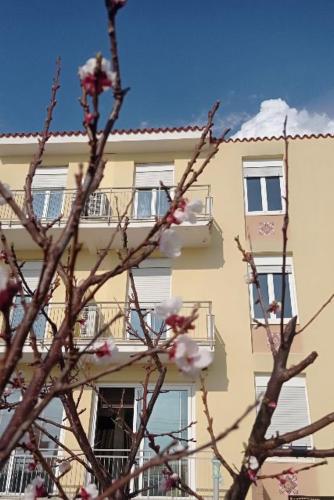 a building with a flowering tree in front of it at Piccolo Hotel in Lavagna