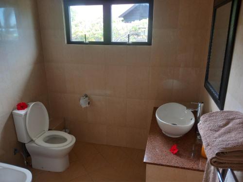 a bathroom with a toilet and a sink and a window at Rosemary's Guesthouse in Praslin