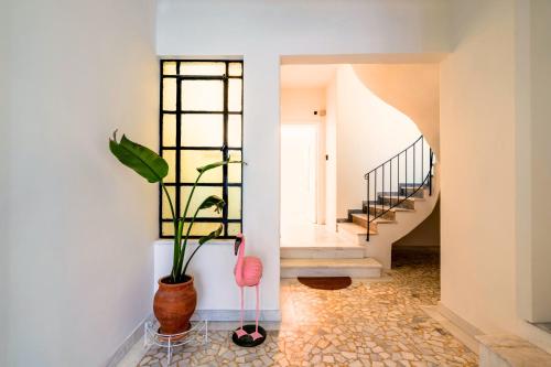 Spacious 3BR Oasis with Garden in Central Athens