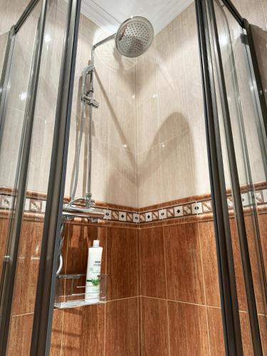 a shower with a glass door in a bathroom at Casa Miguelín in Montecorto