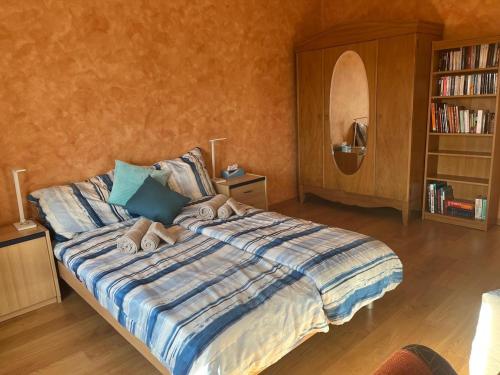 a bedroom with a bed with a book shelf at Charming Apartment with Jacuzzi Bathtub in La Chaux-de-Fonds