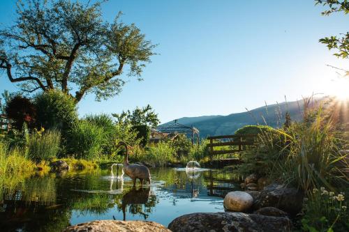 a deer standing in the water in a pond at Kohlerhof - 4 Star Wellness & Active Hotel in Fügen