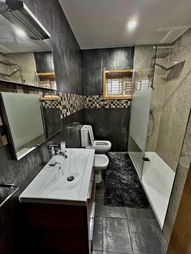 a bathroom with a sink and a toilet and a shower at Casa Encosta do Marao in Amarante