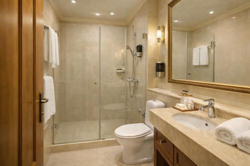a bathroom with a shower and a toilet and a sink at Premier Prezident Garni Hotel and Spa in Sremski Karlovci