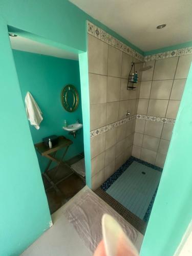 a bathroom with a shower with a toilet and a sink at Innisfree Manor in Somerset West
