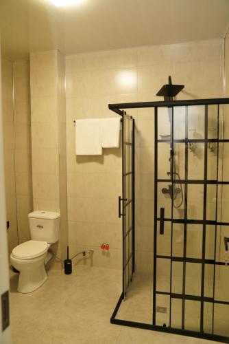 a bathroom with a toilet and a shower stall at EL hotel in Kutaisi