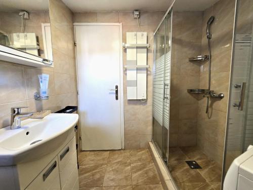 a bathroom with a shower and a sink and a glass door at Apartman Gloria Sajam - Panorama in Belgrade