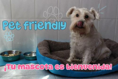 a dog sitting in a dog bed with its tongue at Domus Redes in Pola de Laviana