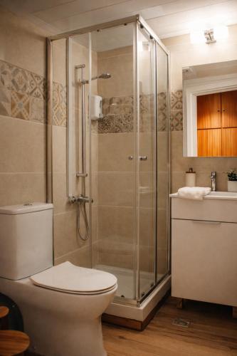 a bathroom with a shower and a toilet and a sink at Kallithea INN in Platres