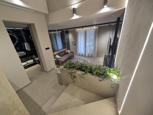 a living room with a couch and some plants at Twentyseven Luxury Suite in Catania