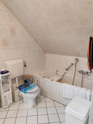 a bathroom with a toilet and a bath tub at Haus Amsel am Heeder See in Heede