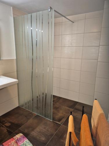 a shower with a glass door in a bathroom at Dahoam am Silberberg in Bodenmais