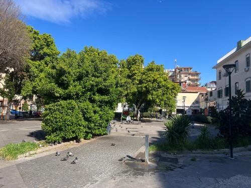 Suite Contè Poderico