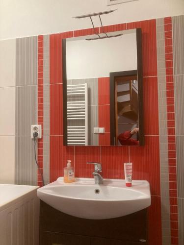 a bathroom with a sink and a mirror at Ubytování pod Nadymákem in Telč