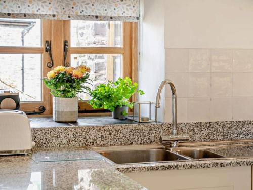a kitchen sink with two potted plants and a window at 1 Bed in Chepstow oc-91941 in Chepstow