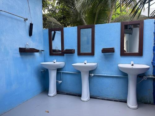 two sinks and mirrors on a blue wall at Moonlight surf hostel in Arugam Bay