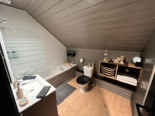 a bathroom with a sink and a toilet and a tub at Gîte Libre’Air in Redu