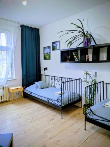 a bedroom with two bunk beds and a table at Pokoje Rybnicka 10 in Katowice