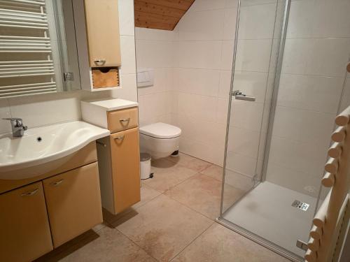 ein Badezimmer mit Dusche, Waschbecken und Toilette in der Unterkunft Müllnerbauer in Penk