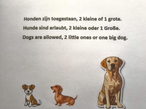 a picture of two dogs sitting next to each other at DE ZEEBRIES Bed by the Sea in Westkapelle