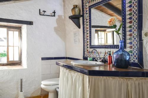 a bathroom with a sink and a mirror and a toilet at Complejo El Alambique in Algatocín