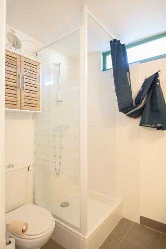 a bathroom with a shower and a toilet and a shower at Studio tout confort proche des thermes in Vals-les-Bains