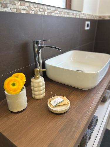 a bathroom with a sink and a counter with a sink at B&B Il Sentiero in Noale