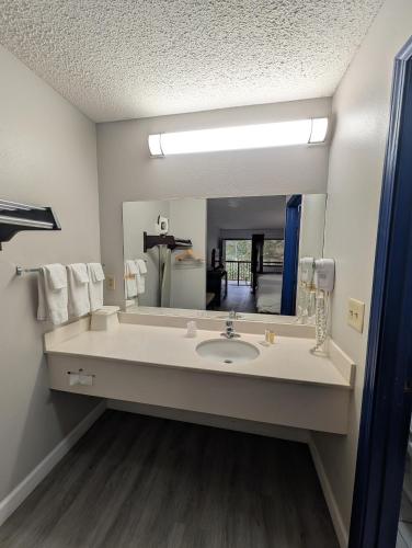 a bathroom with a sink and a large mirror at Garden Inn Adairsville in Adairsville