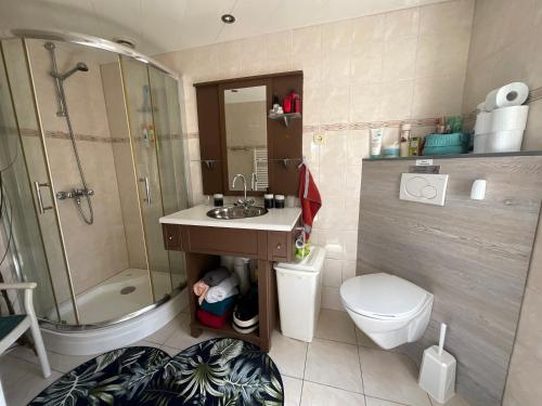 a bathroom with a sink and a toilet and a shower at Janka B&B in Elim