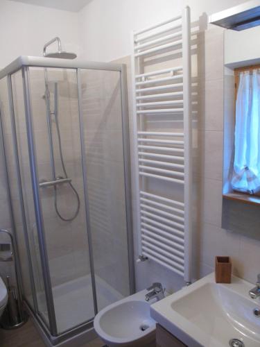 a bathroom with a shower and a sink at Chalet Tornede in Stabiziane