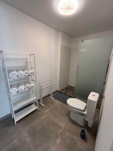 a bathroom with a toilet and a shower at Le Clos des Embruns in Chassiron
