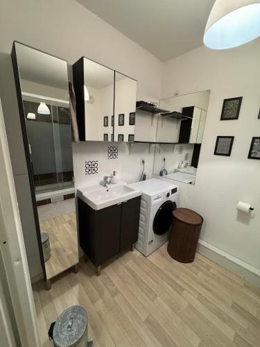 a bathroom with a sink and a washing machine at Appartement T2 à Chelles - Paris, CDG & Disneyland à proximité, parking privé in Chelles