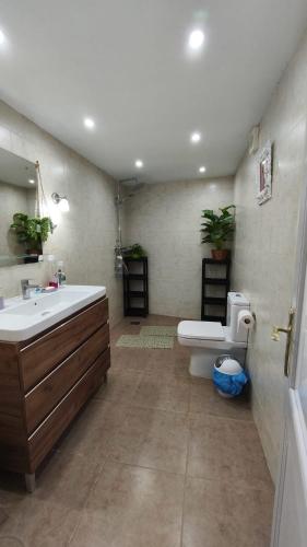 a bathroom with a sink and a toilet at La Casita in Torrox