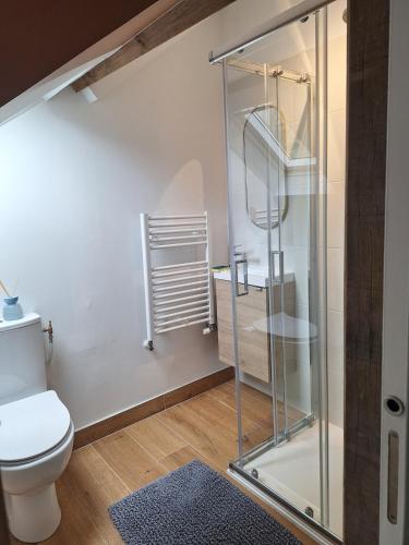 a bathroom with a shower and a toilet at Le Cocon - Vue sur le Port de DINAN - Parking privé in Lanvallay