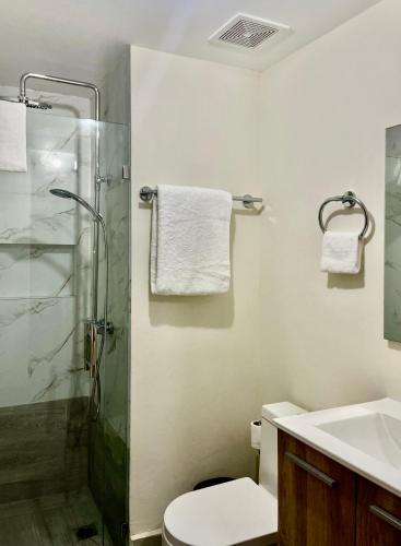 a bathroom with a shower and a toilet and a sink at Vista Marina Boca Chica in Boca Chica