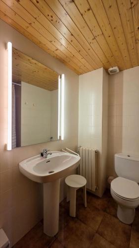 a bathroom with a sink and a toilet and a mirror at Apartaments Vall Ferrera in Areu