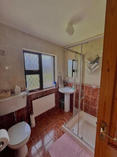 a bathroom with a shower and a toilet and a sink at Beautiful Beach Side Bungalow in Galway