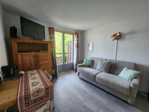 Studio 19m² à Samoëns, 4 pers, animaux admis, parking - FR-1-629-144
