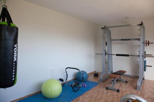 a gym with a punching bag and a exercise ball at Villa Frati Gorge in Fratíon