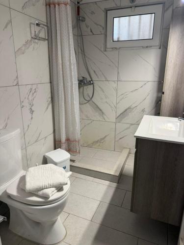 a bathroom with a toilet and a shower and a sink at Anastasia's House Kos in Marmaroto