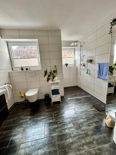 a bathroom with a shower and a toilet and a sink at Cube - Ferienhaus mit Garten und Terrasse in Eberbach in Eberbach