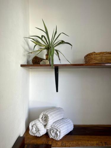 a shelf with towels and a plant on a wall at Casa PuntaBlanca in Puerto Ángel